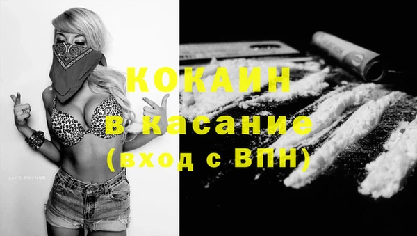 прущие грибы Алексеевка